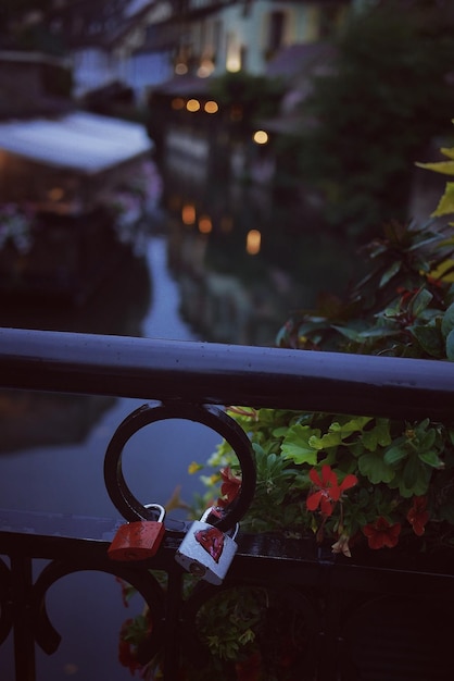 Close-up of love locks on railing