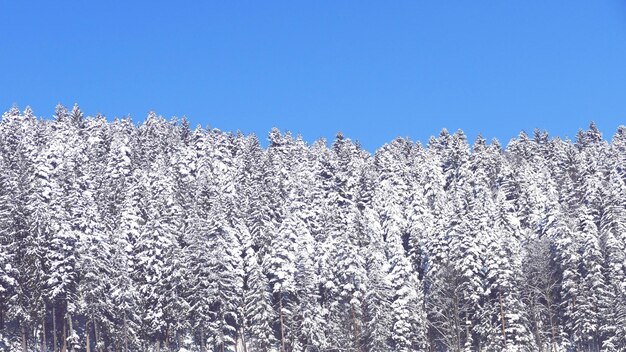 Close-up low angle view of blue sky