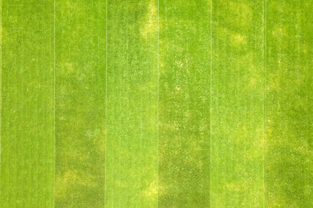 Close-up luchtfoto van het oppervlak van groen vers gemaaid gras op voetbalstadion in de zomer.
