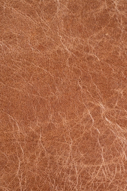 Close-up of luxury leather samples