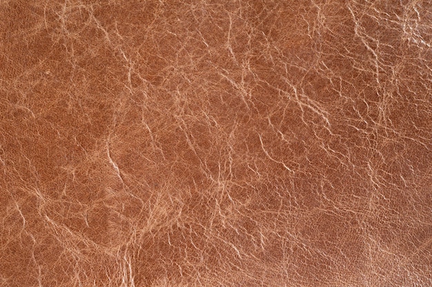 Close-up of luxury leather samples