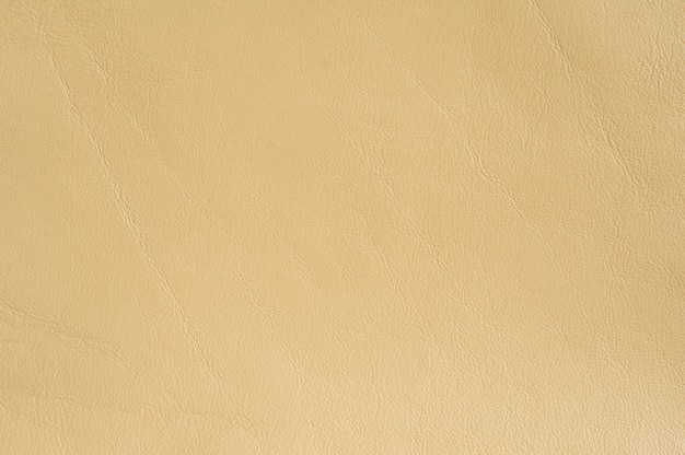 Close-up of luxury leather samples