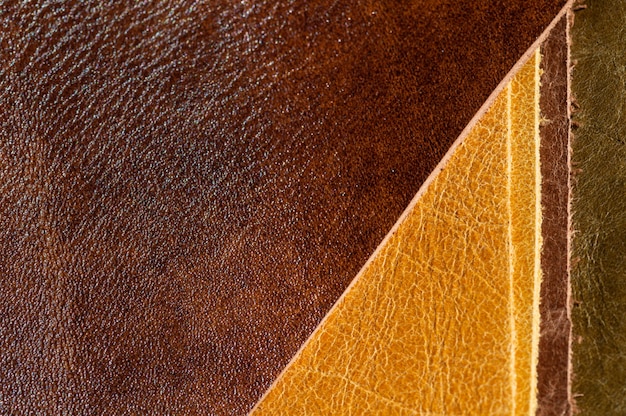 Close-up of luxury leather samples