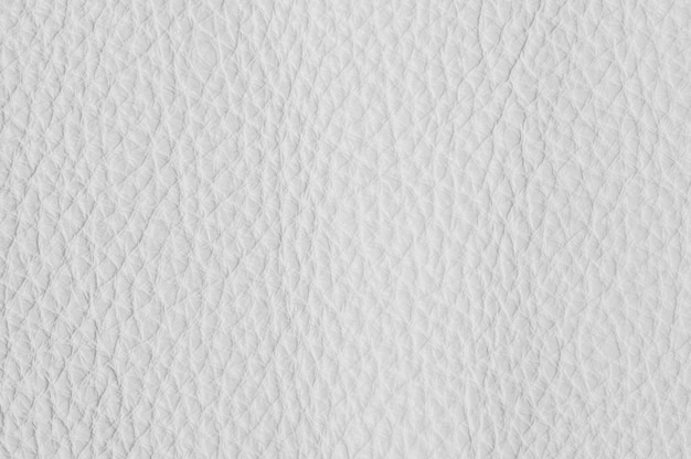 close-up of luxury leather samples