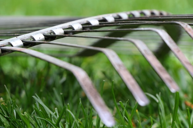 Photo close up of a lying rake on a lawn