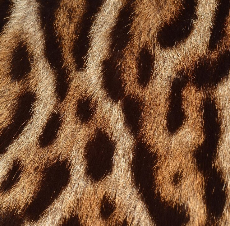 Photo a close up of a lynx skin with fur texture