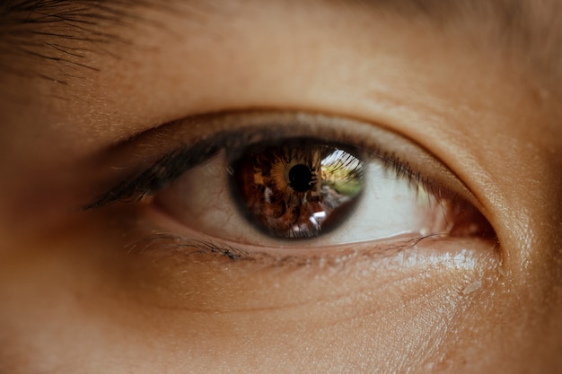 Close up macro of eyes