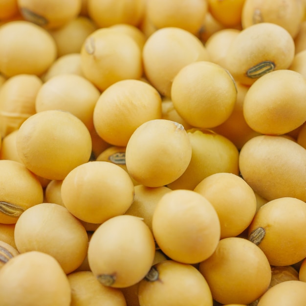 Close up, macro group of soybeans 