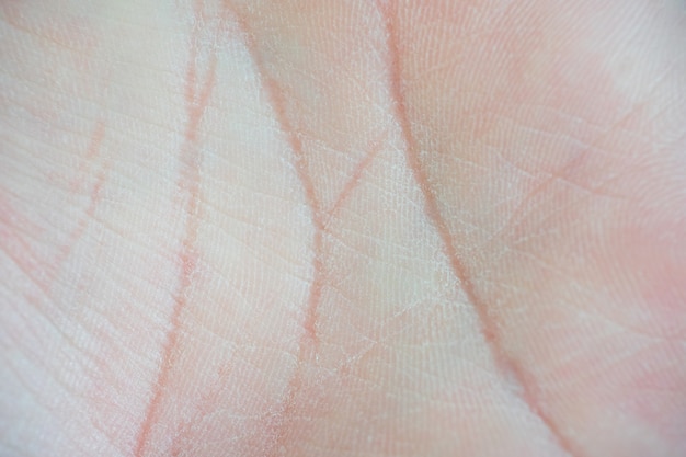 Close up macro of Lines on Hand Palm background