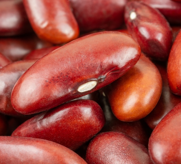 Photo close up,macro red beans