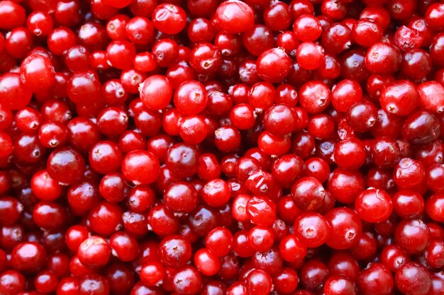 Close-up macro of red berries in a big pile. Top view