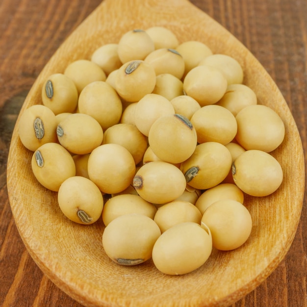 Close up macro soy beans in  wooden spoon