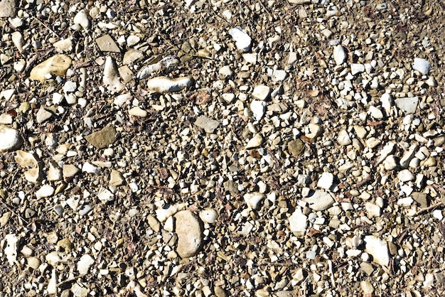 Close Up Macro View of Dirt and Stones Soil Background with Text Space