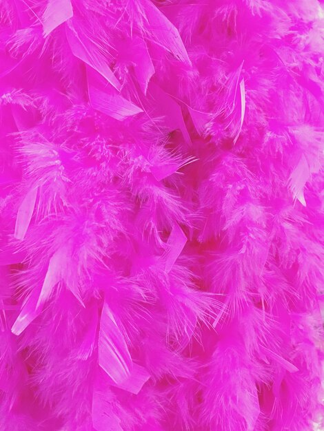 Close-up of magenta decorations