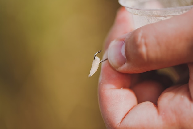 Close up The maggot for the bait is puts on the hook for the fishing rod in male hands on a blurry pastel brown background. Fisherman with worms. Lifestyle, recreation, leisure concept.