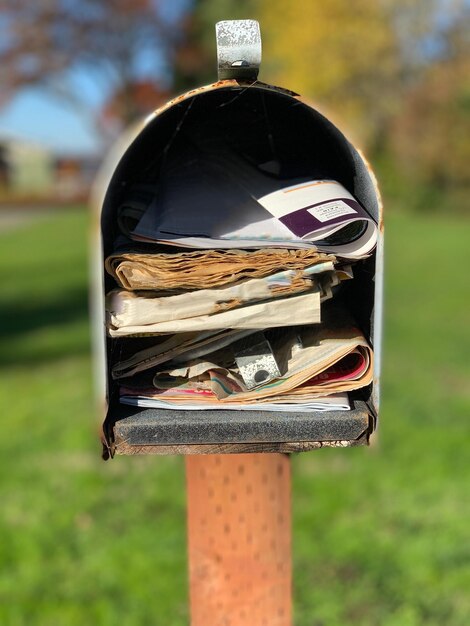 Foto close-up di una cassetta postale sul campo nel parco