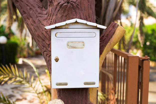 Photo close-up of mailbox on tree trunk