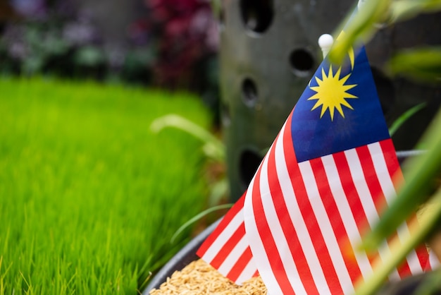 Photo close-up of malaysian flag