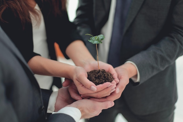 Close up.Male and female business partners nurturing a new plant