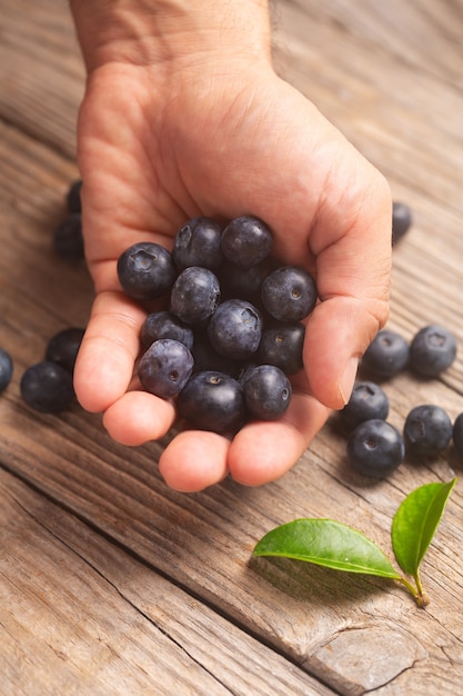 close-up male hand holding a handful of blueberries on a wooden background with leaves