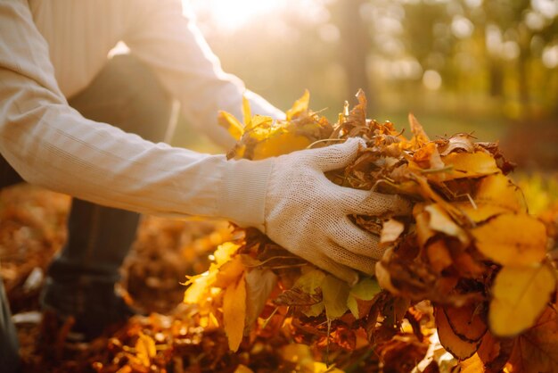 Foto primo piano di una mano maschile che rastrella le foglie di autunno in giardino lavori di giardino d'autunno