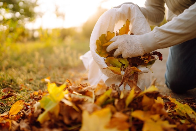 Foto primo piano di una mano maschile che rastrella le foglie di autunno in giardino lavori di giardino d'autunno