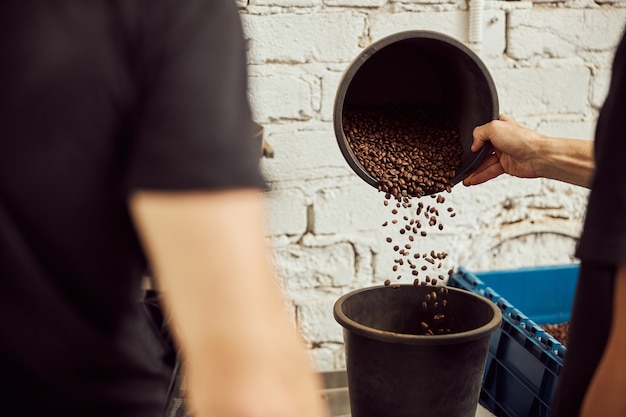 Close up of male workers checking and sorting roasted coffee beans in warehouse