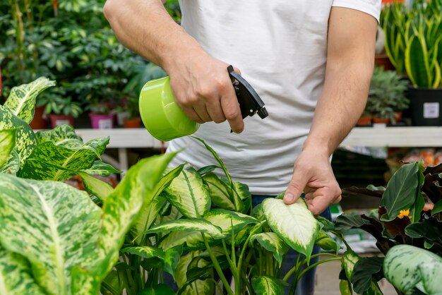 Close-up man drenken kamerplanten