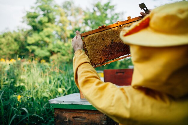 Photo close-up of man holding beehive against plants