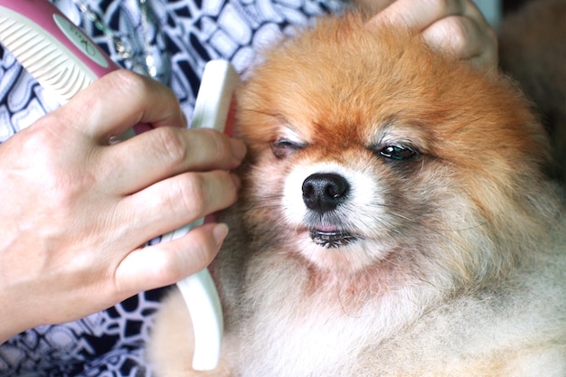 Foto close-up di un uomo che tiene un cane