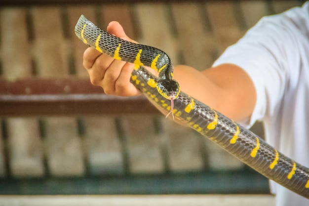 Close-up of man holding hands