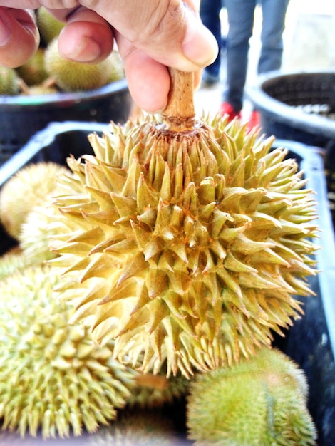 Photo close-up of man holding jackfruit