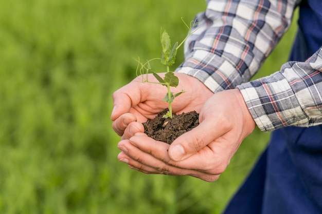 close-up man holding plant
