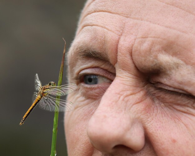 Photo close-up of man looking at dragonfly