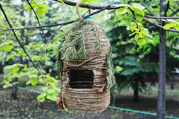 Photo close-up of man-made nest hanging on tree