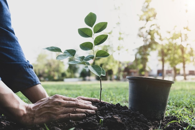 Photo close-up of man planting plant in park