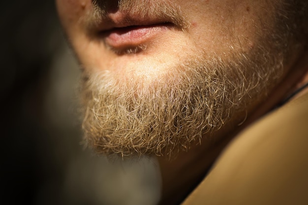 Photo close up of a man's beard on a sunny day