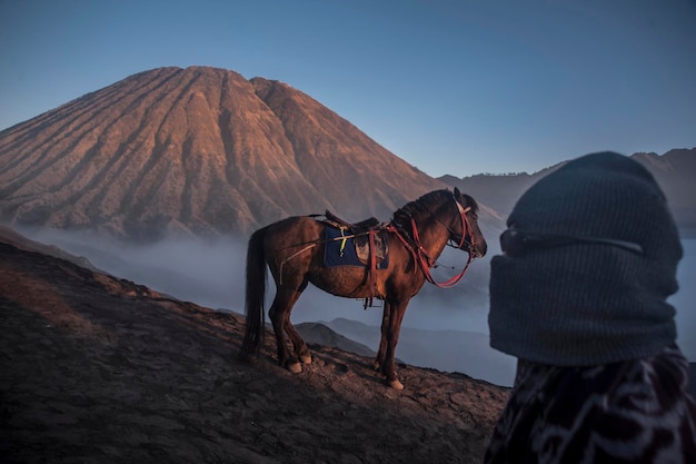 Foto close-up di un uomo in abiti caldi con un cavallo sullo sfondo sulla montagna
