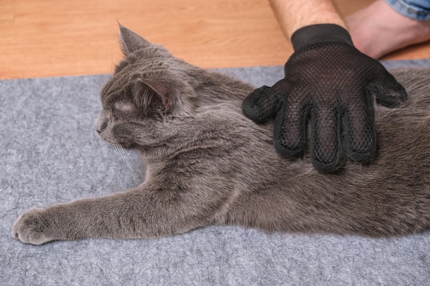 Foto close-up di un uomo con un gatto