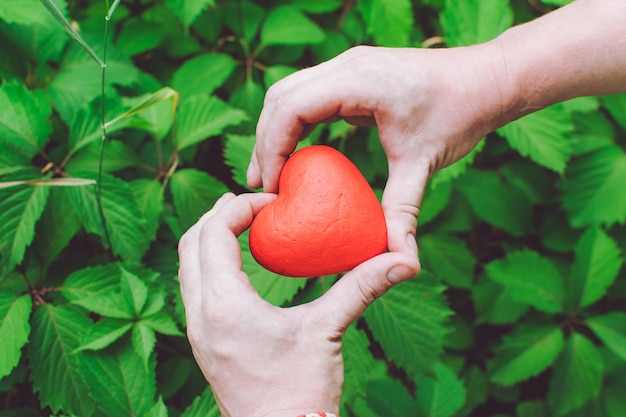 Close up of mans hands holding red heart. 