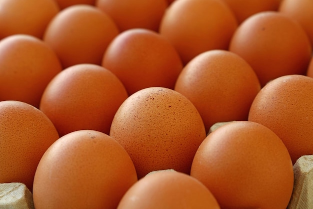 Close up many fresh brown chicken eggs in tray carton at retail\
display of farmers market, high angle view