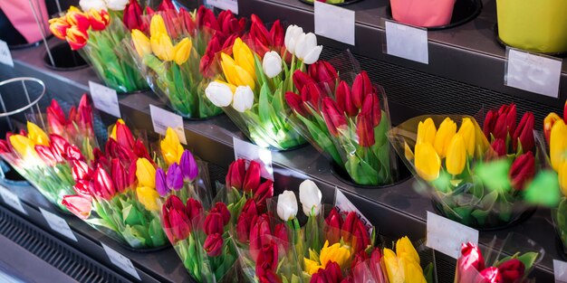 Primo piano di molti mazzi rosa, rossi, gialli del tulipano in un negozio di fiori, in un mercato dei fiori o in un deposito.