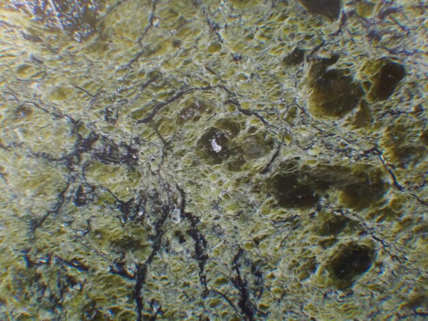 A close up of a marble with the water in the middle