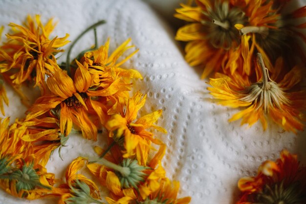 Photo close-up of marigold flowers on tissue paper