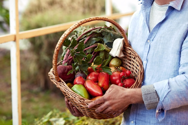 Foto il primo piano di un agricoltore maschio maturo tiene in mano un cesto con verdure fresche raccolte al momento soddisfatte del suo raccolto
