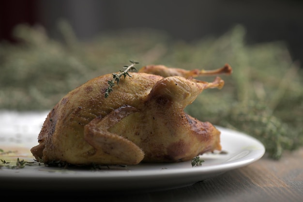 Photo close-up of meal served in plate