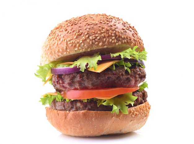 Close up on meat hamburger isolated