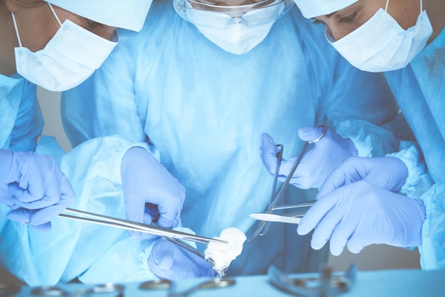 Close-up of medical team performing operation. Group of surgeons at work are busy of patient. Medicine, veterinary or healthcare and emergency in hospital.