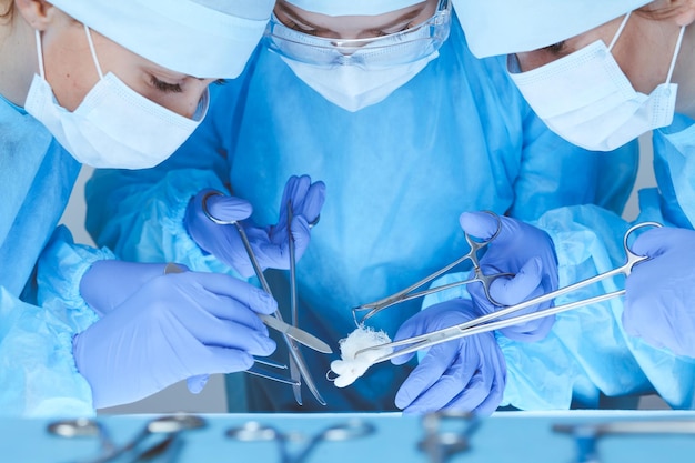 Close-up of medical team performing operation. Group of surgeons at work are busy of patient. Medicine, veterinary or healthcare and emergency in hospital.