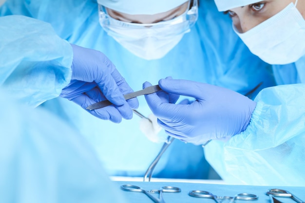 Close-up of medical team performing operation. Group of surgeons at work are busy of patient. Medicine, veterinary or healthcare and emergency in hospital.